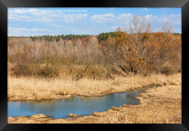 A small rivulet flows through a marshland overgrown with dry reeds and grass against the background of a dormant spring yellow grove and blue sky. Framed Print by Sergii Petruk