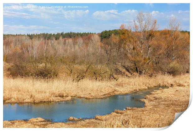 A small rivulet flows through a marshland overgrown with dry reeds and grass against the background of a dormant spring yellow grove and blue sky. Print by Sergii Petruk
