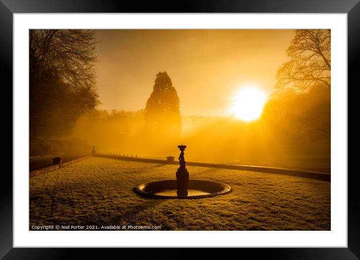 Bathed in light Framed Mounted Print by Neil Porter