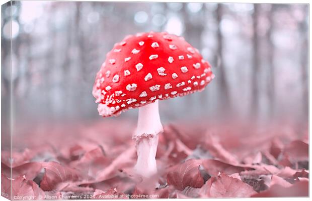 Misty Woodland Fly Agaric Canvas Print by Alison Chambers