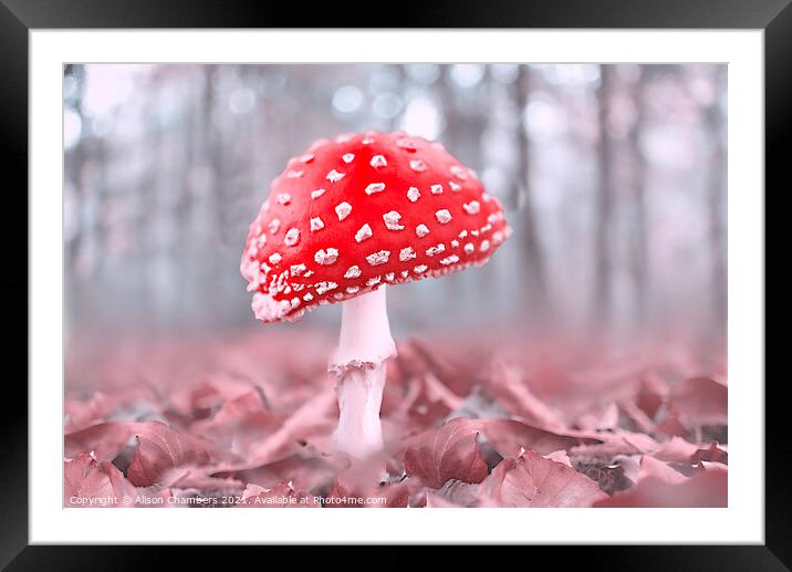 Misty Woodland Fly Agaric Framed Mounted Print by Alison Chambers