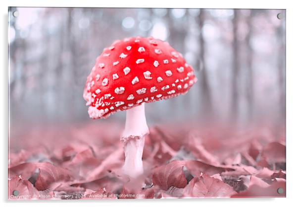 Misty Woodland Fly Agaric Acrylic by Alison Chambers