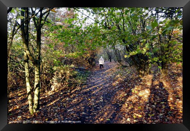 Autumn woodland Walk, Derbyshire, UK. Framed Print by john hill