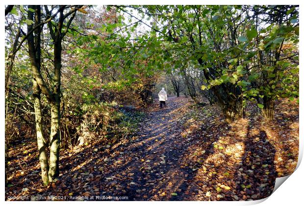 Autumn woodland Walk, Derbyshire, UK. Print by john hill