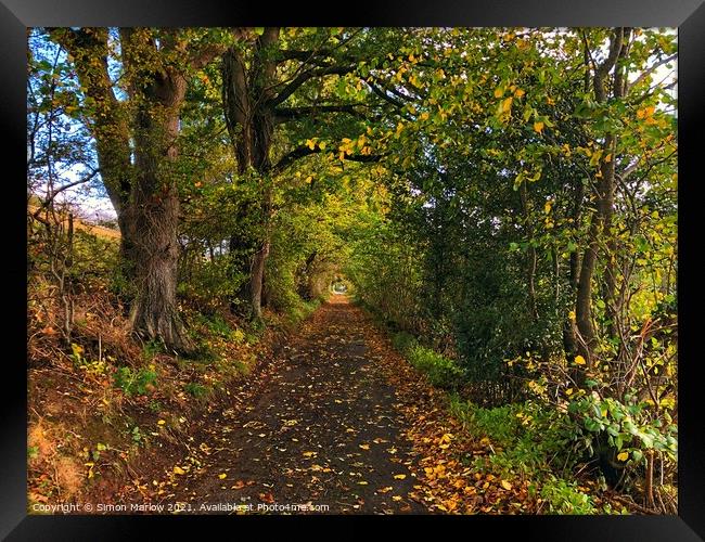 Colours of Autumn Framed Print by Simon Marlow