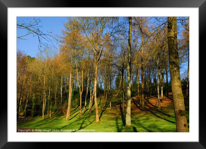 Trees into the sky Framed Mounted Print by Philip Gough