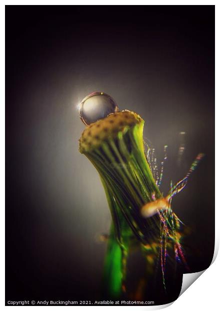 Droplet Print by Andy Buckingham