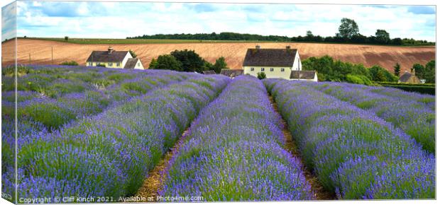 Cotswold Lavender Snowshill Canvas Print by Cliff Kinch