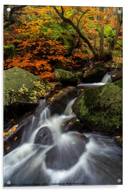 Enchanting Autumnal Waterfall in Padley Gorge Acrylic by Steven Nokes