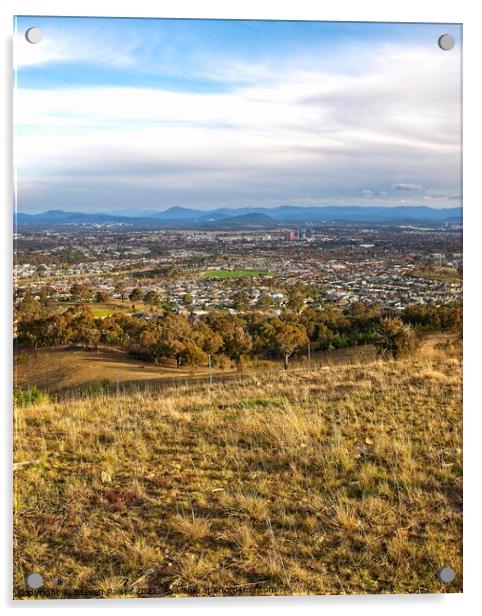 Canberra, Australia View Acrylic by Steven Ralser
