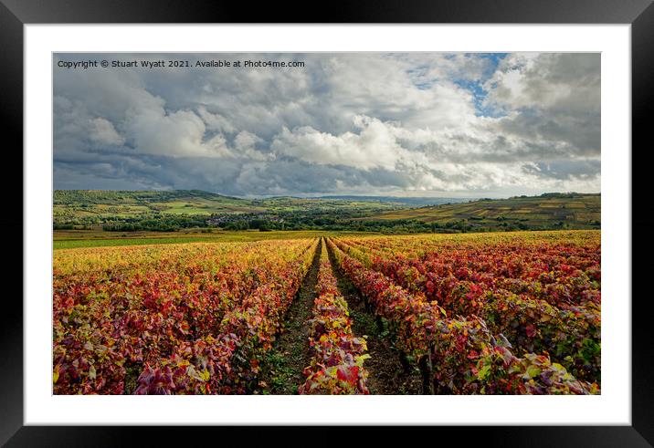 Bourgogne Vineyard, Santenay, France Framed Mounted Print by Stuart Wyatt