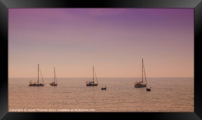 Glowing boats in tranquil Madeira Framed Print by David Thomas