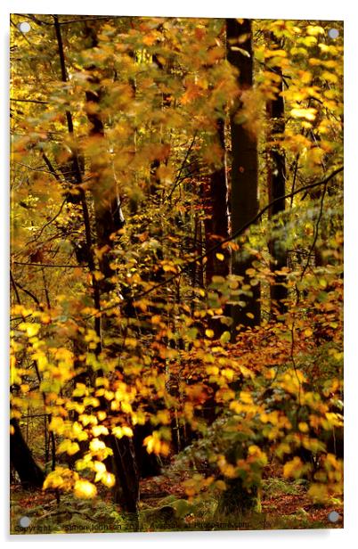 Sunlit wind blown autumn leaves Acrylic by Simon Johnson