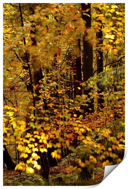 Sunlit wind blown autumn leaves Print by Simon Johnson