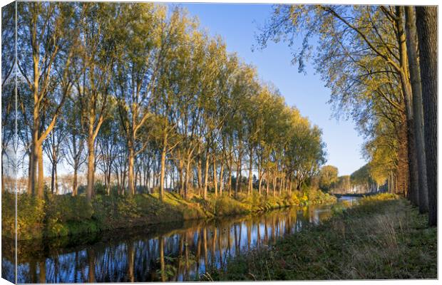 Trees along the Schipdonk Canal, Damme Canvas Print by Arterra 