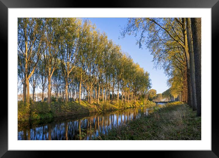 Trees along the Schipdonk Canal, Damme Framed Mounted Print by Arterra 