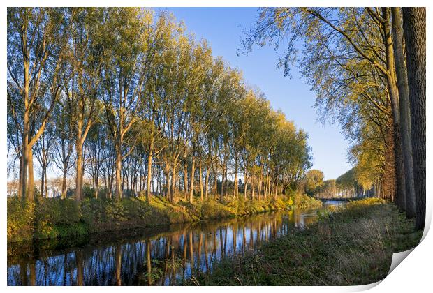 Trees along the Schipdonk Canal, Damme Print by Arterra 