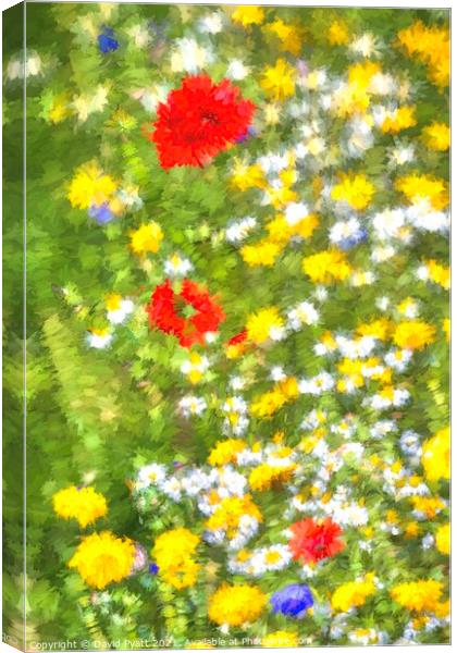 Meadow Of Dreams Abstract Canvas Print by David Pyatt