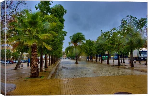 Lonely promenade on a rainy day in Carmona - Seville - Canvas Print by Jose Manuel Espigares Garc