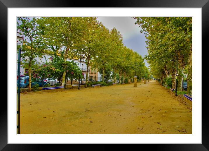 This is a popular mall in the ceter on Carmona on a rainy day Framed Mounted Print by Jose Manuel Espigares Garc