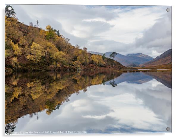 Loch Beannacharan in Autumn Acrylic by Iain MacDiarmid