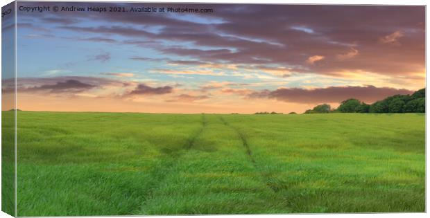 Outdoor field with sun setting Endless Summer Fiel Canvas Print by Andrew Heaps