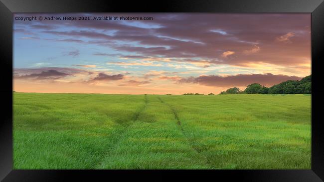 Outdoor field with sun setting Endless Summer Fiel Framed Print by Andrew Heaps