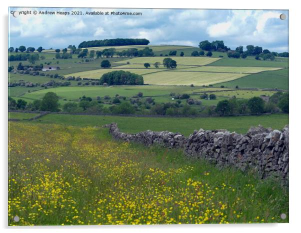 Rolling fields around Lathkill Dale Acrylic by Andrew Heaps