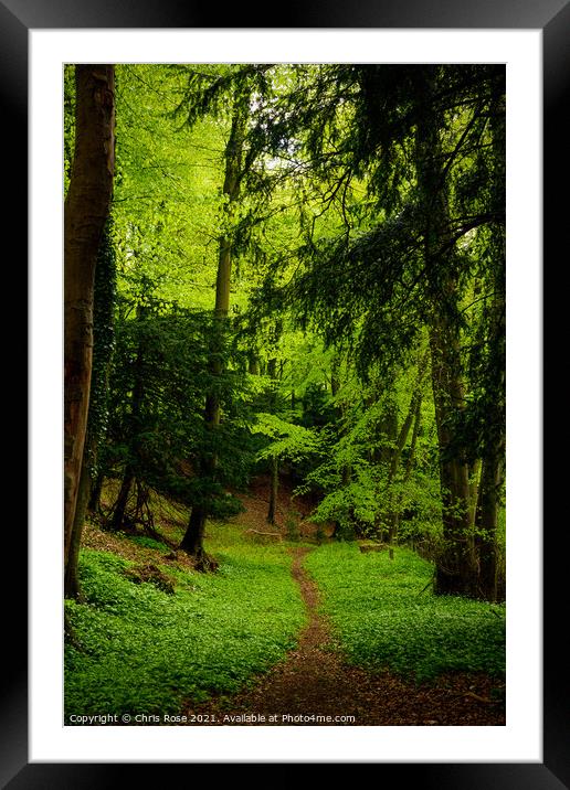 Woodland path Framed Mounted Print by Chris Rose