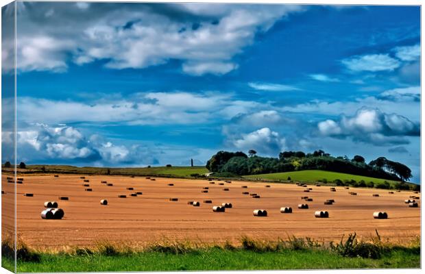Rolling Wiltshire Hills Canvas Print by Joyce Storey