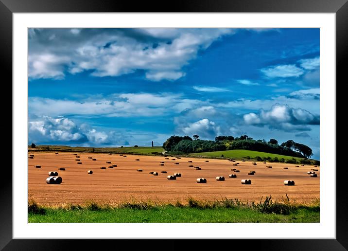 Rolling Wiltshire Hills Framed Mounted Print by Joyce Storey