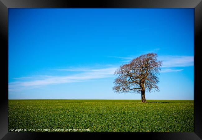 One tree on the horizon landscape Framed Print by Chris Rose