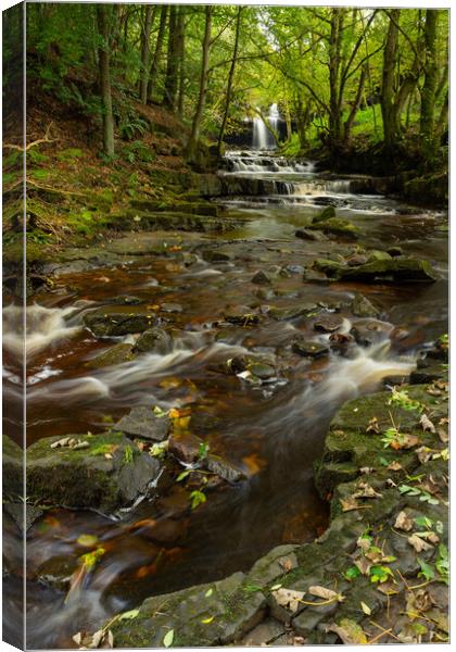 Sumerhill Force Canvas Print by Kevin Winter