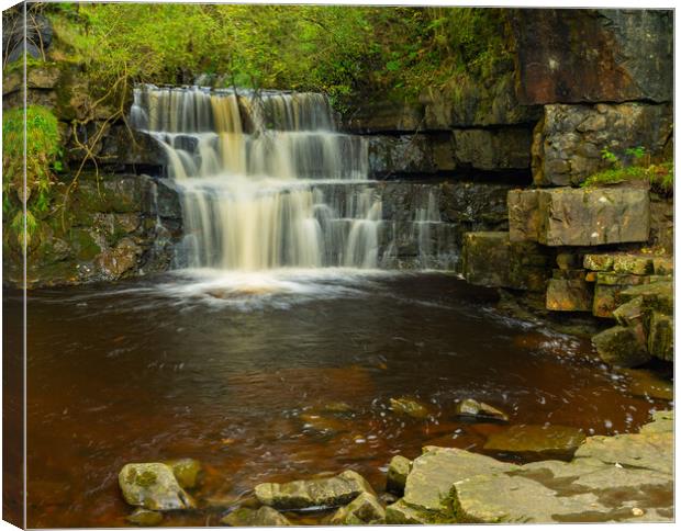 Bowlees Waterfall Canvas Print by Kevin Winter