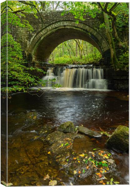 Bowlees Waterfall Canvas Print by Kevin Winter