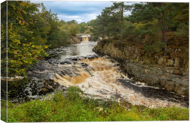 Low Force Canvas Print by Kevin Winter