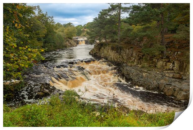 Low Force Print by Kevin Winter