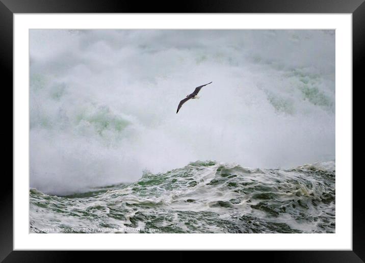 Gull & Wave Framed Mounted Print by Jon Pear