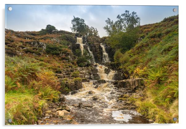 Blea Beck Falls Acrylic by Kevin Winter