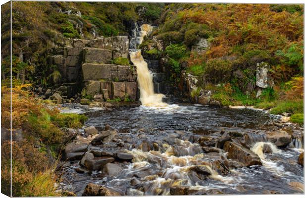 Blea Beck Falls Canvas Print by Kevin Winter
