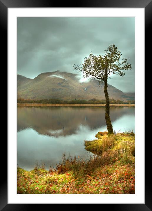 Lonesome Tree Framed Mounted Print by Tony Bishop