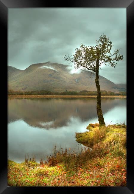 Lonesome Tree Framed Print by Tony Bishop