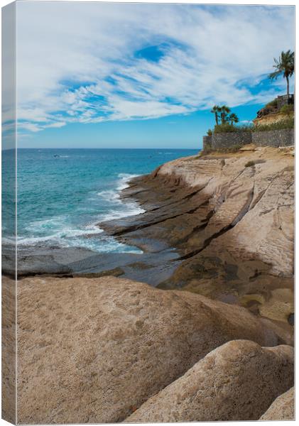 Low Tide Canvas Print by Alan Jackson