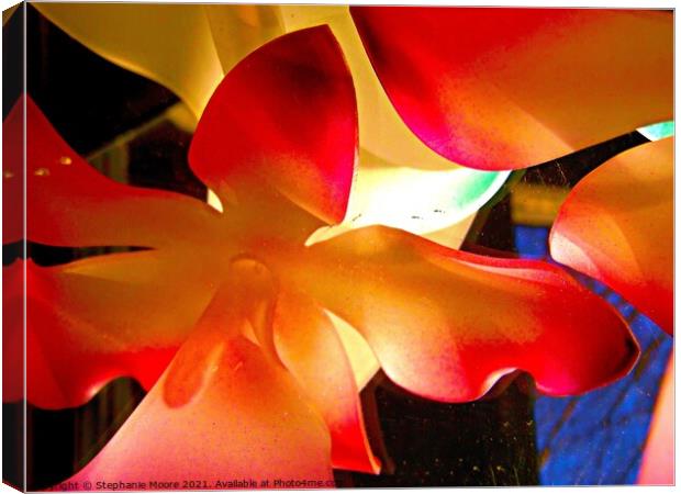 Bright Flowers Canvas Print by Stephanie Moore