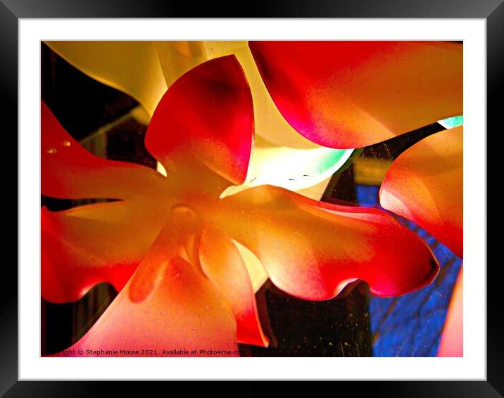Bright Flowers Framed Mounted Print by Stephanie Moore