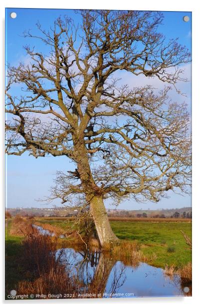 Large tree on a Somerset Rhyne. Acrylic by Philip Gough