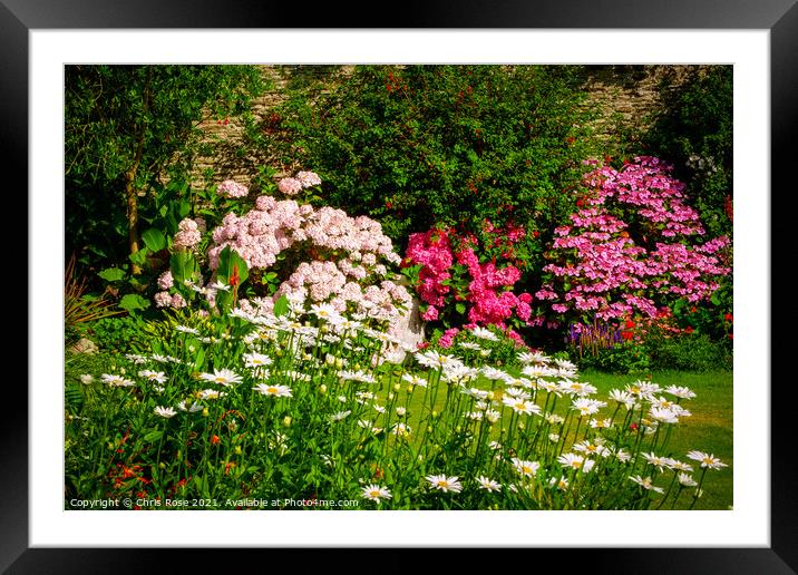 A beautiful summer walled garden border flowerbed Framed Mounted Print by Chris Rose
