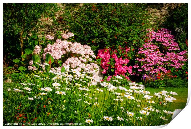 A beautiful summer walled garden border flowerbed Print by Chris Rose