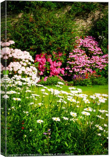 Walled garden border flowerbed Canvas Print by Chris Rose