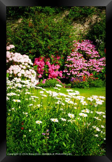Walled garden border flowerbed Framed Print by Chris Rose